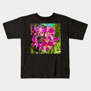 Pink Orchid (Spathoglottis x parsonsii) Kids T-Shirt